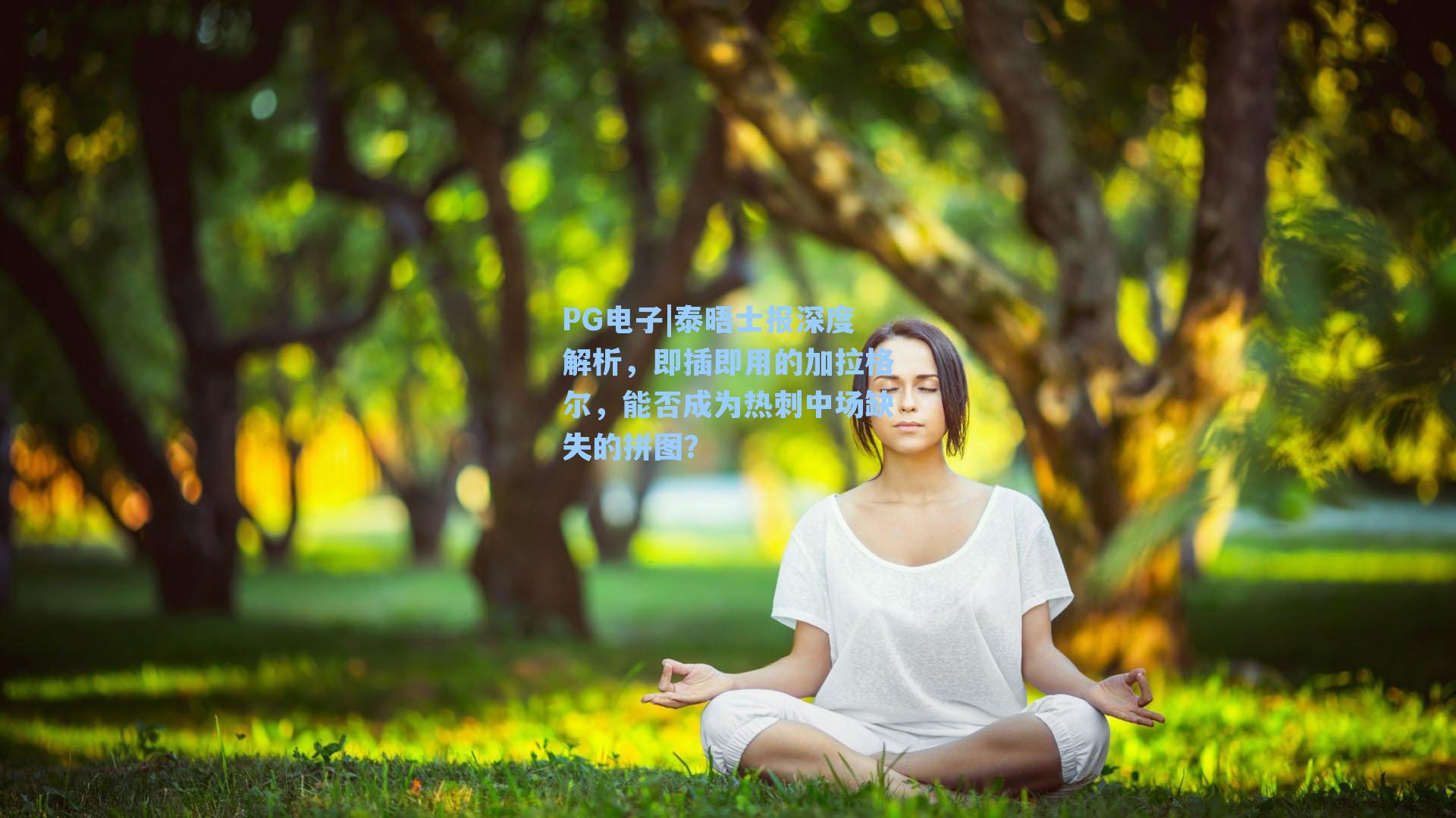 PG电子|泰晤士报深度解析，即插即用的加拉格尔，能否成为热刺中场缺失的拼图？